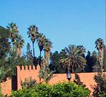 Riad Marrakech : LA PALMERAIE DE MARRAKECH